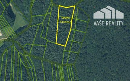 Pozemok - trvalý trávnatý porast a lesný pozemok, Beckov