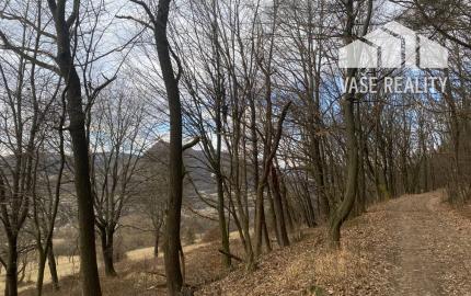 Rekreačný pozemok Dolná Súča - 1482 m2