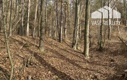 Rekreačný pozemok Dolná Súča - 1482 m2