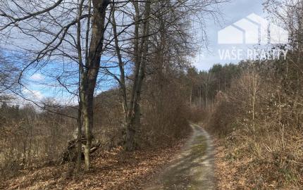 Rekreačný pozemok Dolná Súča - 1482 m2