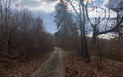 Rekreačný pozemok Dolná Súča - 1482 m2