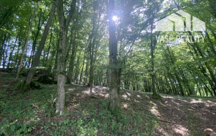 Veľký rekreačný pozemok s chatkou, Streženice (Púchov), 2400 m2