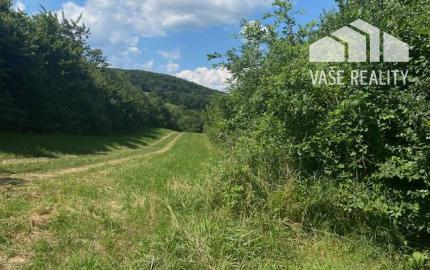 Pozemok na rekreáciu - Dolná Súča - Polníky - 1326 m2