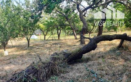 Investičný pozemok "záhrada" o výmere 691 m2 - Nové Mesto n/V