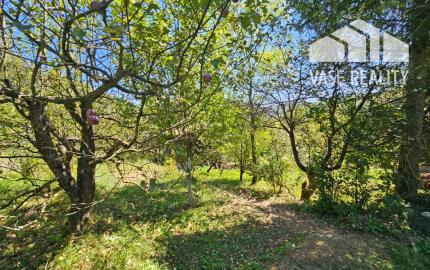 Záhrada v kúpeľnom meste Trenčianske Teplice 