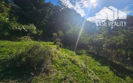 Predaj záhrady, Trenčín