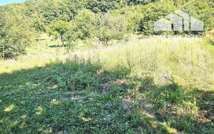 2-IZBOVÝ RODINNÝ DOM -DUBNIČKA- SO ZÁHRADNÝM DOMĆEKOM/ 2518 M2 POZEMOK