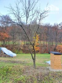 Investičná príležitosť-historický  mlyn v rekonštrukcii, Podkylava