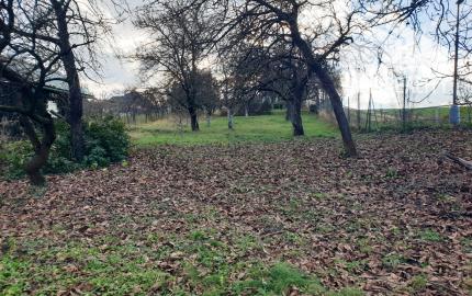 Na predaj záhrada o výmere 784 m2 - Nové Mesto n/V