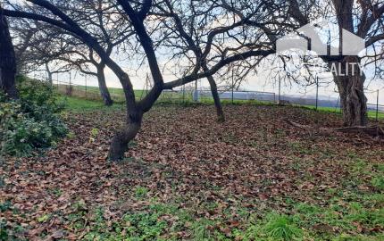 Na predaj záhrada o výmere 784 m2 - Nové Mesto n/V