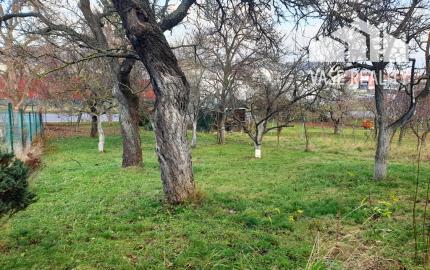 Na predaj záhrada o výmere 784 m2 - Nové Mesto n/V