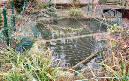 Murovaná chata v rekreačnej oblasti , Moravany nad Váhom - Výtoky