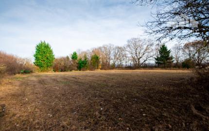 Predaj investičného pozemku - Stupava – extravilán-13 804 m²