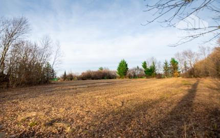 Predaj investičného pozemku - Stupava – extravilán-13 804 m²