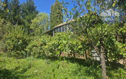 Záhrada v kúpeľnom meste Trenčianske Teplice 