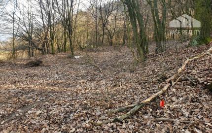Rekreačný pozemok pri lese 1 139 m2 - možnosť výstavby chatky - Trenčianske Bohuslavice