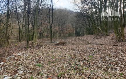 Rekreačný pozemok pri lese 1 139 m2 - možnosť výstavby chatky - Trenčianske Bohuslavice