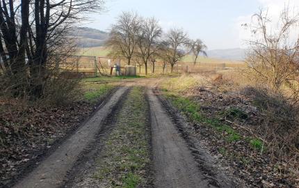 Rekreačný pozemok pri lese 1 139 m2 - možnosť výstavby chatky - Trenčianske Bohuslavice