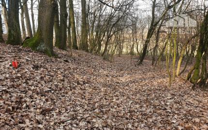 Rekreačný pozemok pri lese 1 139 m2 - možnosť výstavby chatky - Trenčianske Bohuslavice