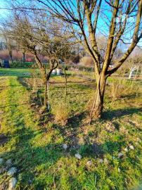 Na predaj záhradná chatka Trenčín, Juh