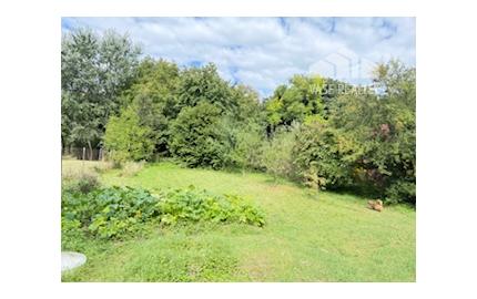 Romantická chalúpka na veľkom pozemku 2330 m2