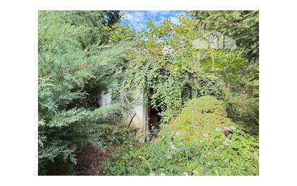 Romantická chalúpka na veľkom pozemku 2330 m2