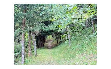 Chata pred dokončením, pozemok 770 m2, Horná Maríková