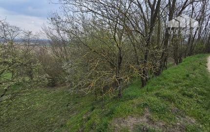 Na predaj slnečná záhrada 200 m2 v tichom prostredí polosamoty – Sokolovce