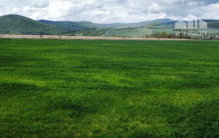 Pozemok 35 355 m² vhodný na chov koní či hospodárstvo – Prašník