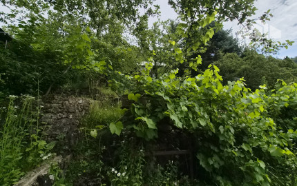 2 chatky, pozemok 563m2 Trenčianske Teplice