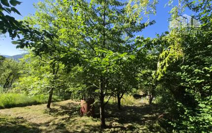 2 chatky, pozemok 563m2 Trenčianske Teplice