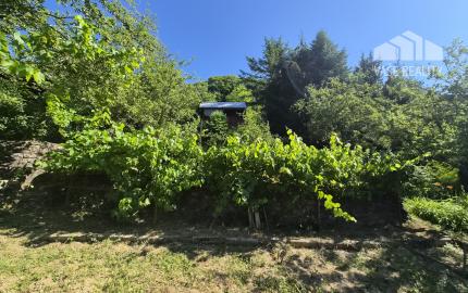 2 chatky, pozemok 563m2 Trenčianske Teplice