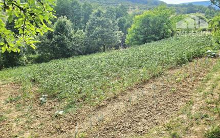 3 izbový byt KŠINNÁ -71m2 - so ZÁHRADOU/ LOGGIA /PIVNICA