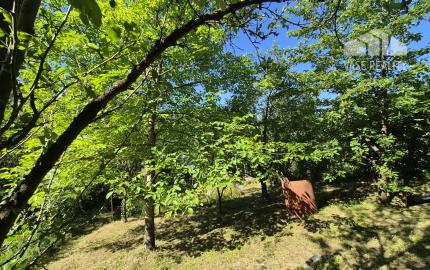 Záhradná chatka Trenčianske Teplice, pozemok 279m2