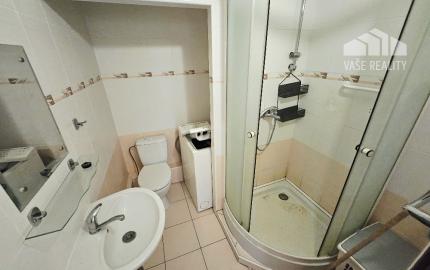 Prenájom 1 izbový byt / CENTRUM/ 42 m2/ BALKÓN/ PIVNICA