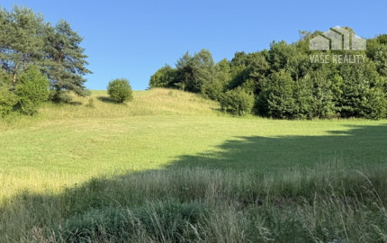 Veľký rekreačný pozemok s chatkou, Streženice (Púchov), 2400 m2