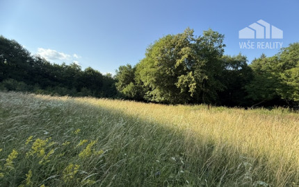 Veľký rekreačný pozemok s chatkou, Streženice (Púchov), 2400 m2
