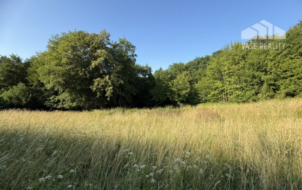 Veľký rekreačný pozemok s chatkou, Streženice (Púchov), 2400 m2