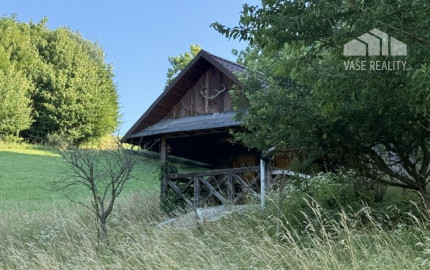 Veľký rekreačný pozemok s chatkou, Streženice (Púchov), 2400 m2