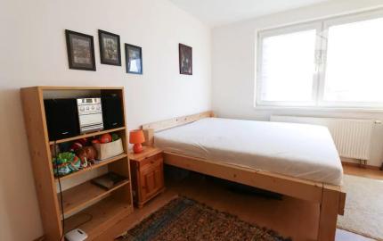Na prenájom krásny a veľký 1-izbový byt s balkónom, 48 m², Agátová ul. Dúbravka, voľný od 15.8.2026