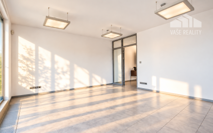 Reprezentatívne administratívne priestory s terasou, Dunajská ul. 124 m², ihneď voľný
