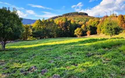 Pozemok 3611m2 v obci Zubák , okres Púchov