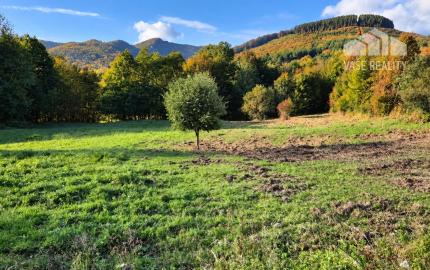 Pozemok 3611m2 v obci Zubák , okres Púchov