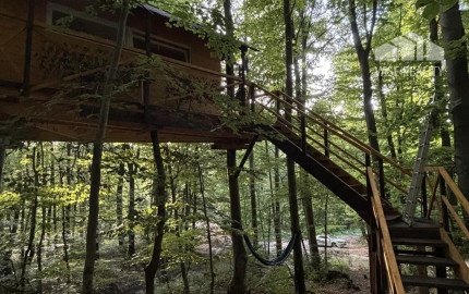 PREDAJ: Unikátny domček v korunách stromov (Treehouse) 35m2 s veľkým pozemkom – Trenčianske Teplice