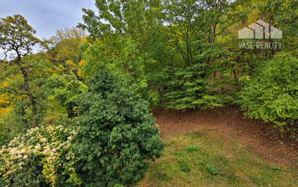 JEDINEČNÁ NEHNUTEĽNOSŤ POD HRADOM TEMATÍN – RODINNÝ DOM S POZEMKAMI O VÝMERE 13 046 m²