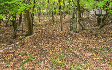 JEDINEČNÁ NEHNUTEĽNOSŤ POD HRADOM TEMATÍN – RODINNÝ DOM S POZEMKAMI O VÝMERE 13 046 m²