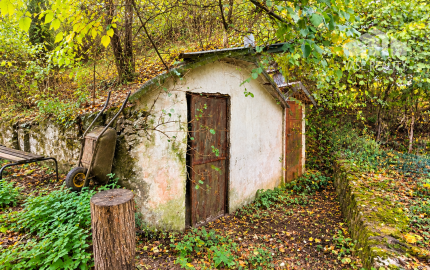 JEDINEČNÁ NEHNUTEĽNOSŤ POD HRADOM TEMATÍN – RODINNÝ DOM S POZEMKAMI O VÝMERE 13 046 m²