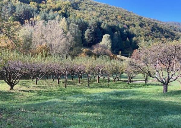 Chalupa CHKO Strážovské vrchy, pozemok 3292 m2, rezervoár pitnej vody