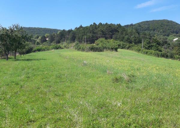 STAVEBNÝ POZEMOK 2250 m2 TRENČIANSKE MITICE