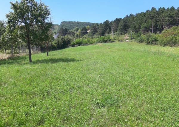 STAVEBNÝ POZEMOK 2250 m2 TRENČIANSKE MITICE